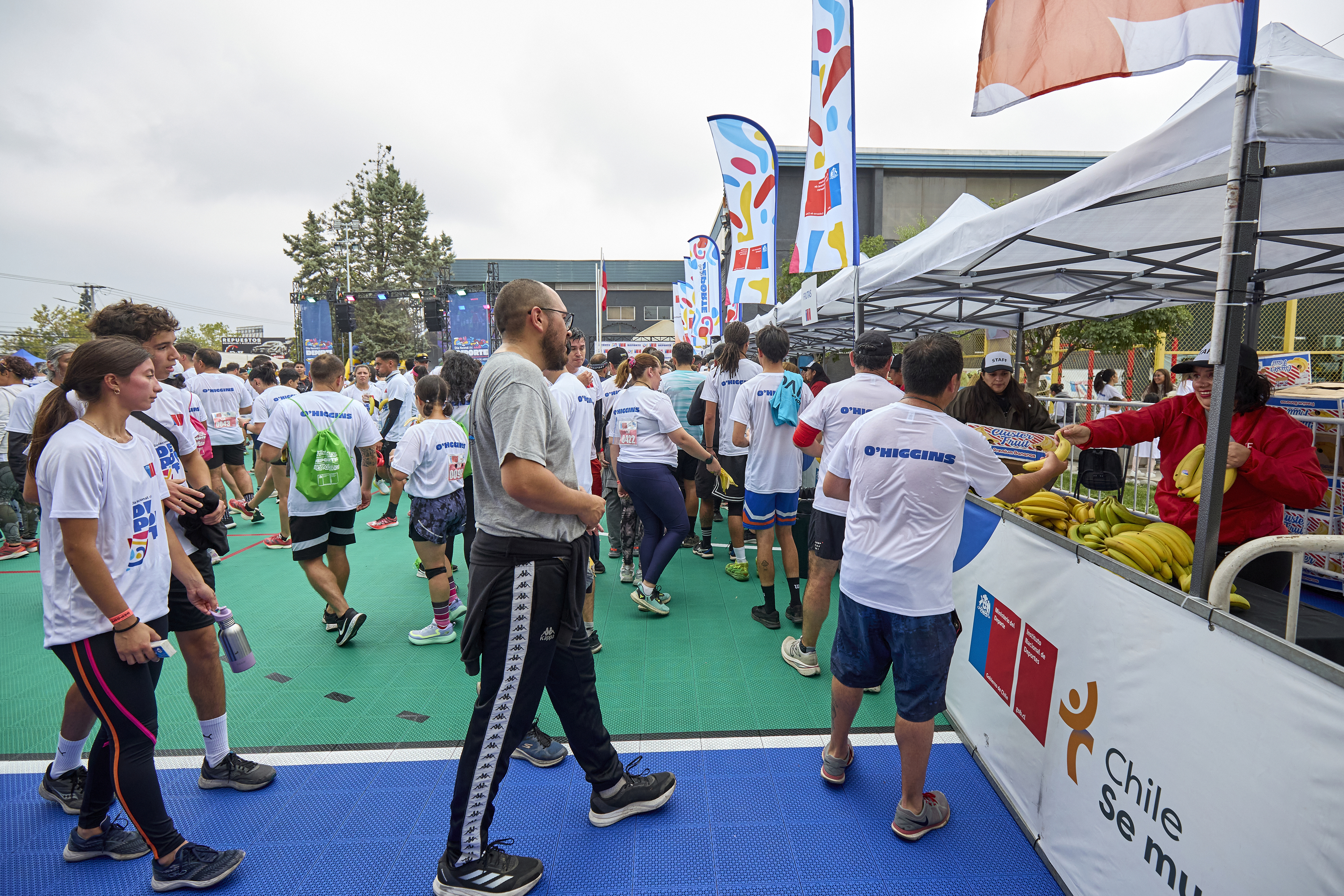 Dia Del Deporte